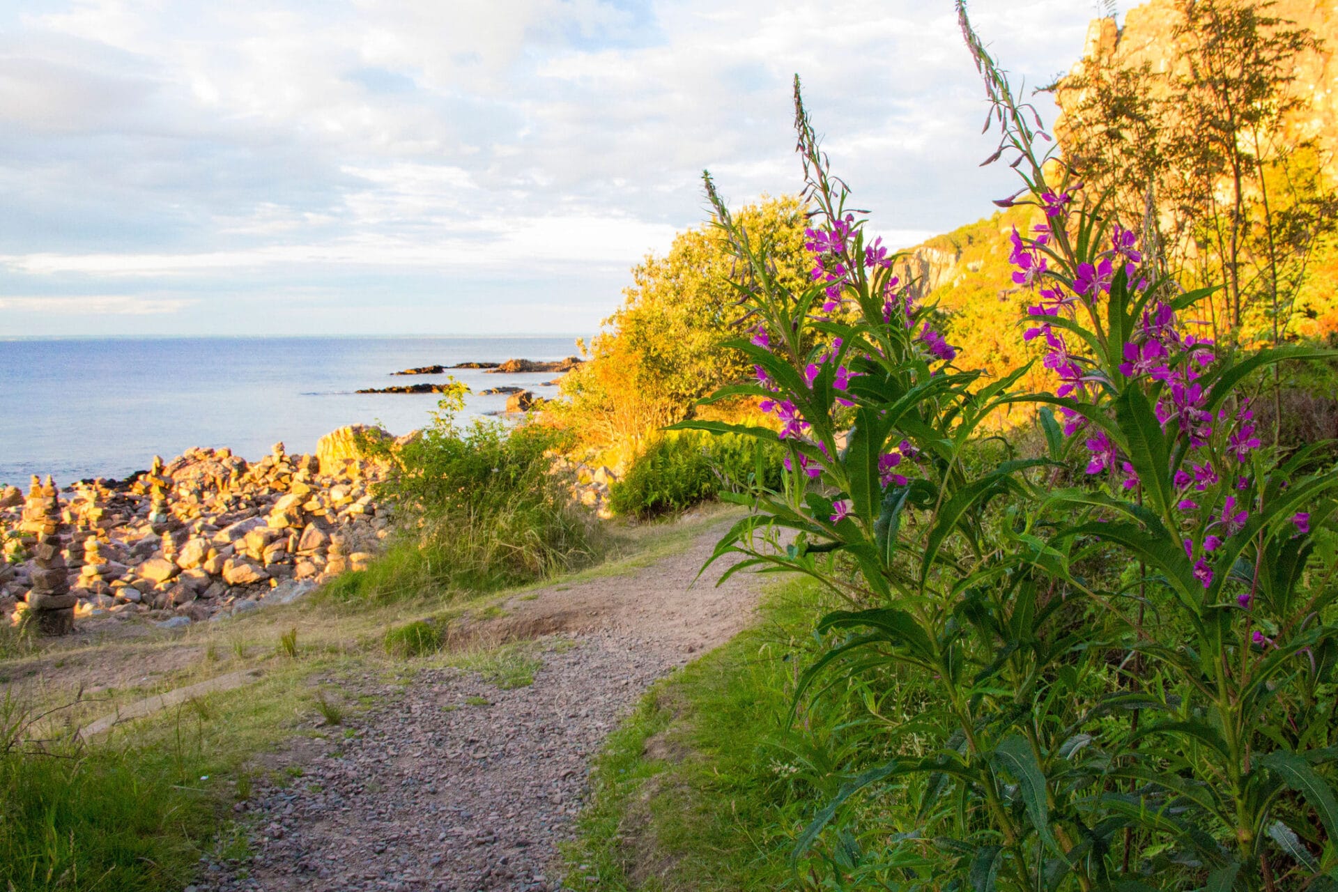 Gångstid vid Hovs Hallar @naturebylouise